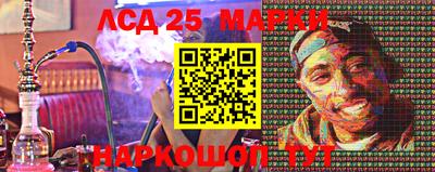 гашик Донской