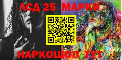 гашик Донской