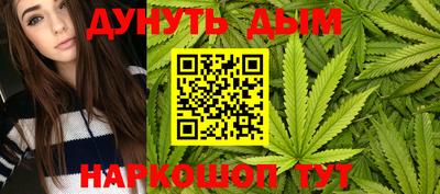 гашик Донской