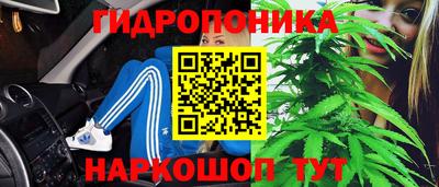 гашик Донской