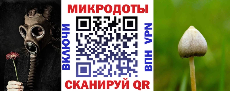 закладка  блэк спрут вход  Галлюциногенные грибы ЛСД  Ирбит 