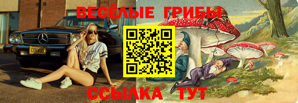 Ирбит  Псилоцибиновые грибы Cubensis  Вход с VPN  Псилоцибиновые грибы прущие грибы 