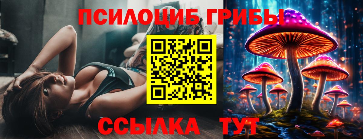 Галлюциногенные грибы GOLDEN TEACHER Ирбит